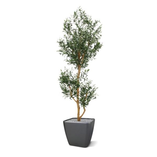 Groene kunstbomen Kunst Olijfboom Promo 180 cm 2