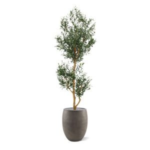 Met deze Olijfboom haalt u de mediteraanse sfeer in een handomdraai in huis. Zowel de blaadjes als de olijven zijn niet van echt te onderscheiden en de boom is opgebouwd op echte houten stammen. De hoogte van de boom is 180 cm. Standaard wordt deze boom in een plastic pot geleverd. De Olijfboom Promo is tevens leverbaar in de maten 120 cm