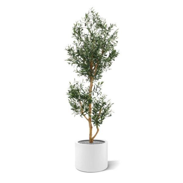 Kunst-Olijfboom-Promo-180-cm-8 Kunst Olijfboom Promo 180 cm 8