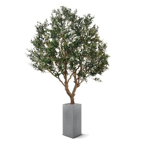 Kunst-Olijfboom-XL-300-cm-op-plaat-8 Kunst Olijfboom XL 300 cm op plaat 8