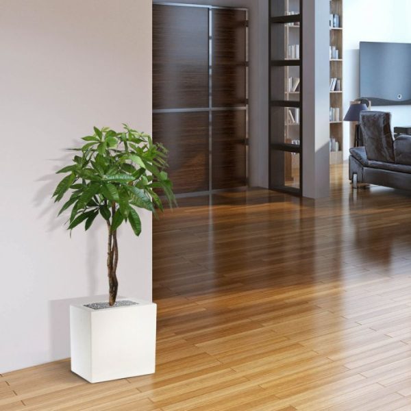 Kunst-Pachira-bal-op-stam-75-cm-4 Kunst Pachira bal op stam 75 cm 4