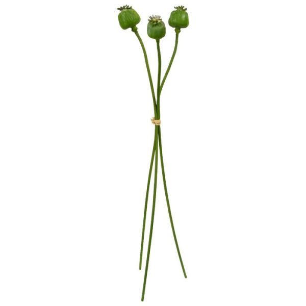 mag deze aantrekkelijk bundel van drie kunst papaver takken niet missen. Als u ze maar niet stiekem oprookt vanwege de opium die ook wel van de Papaverbol gemaakt wordt. De bekendste van deze soort