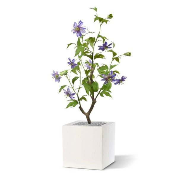 Bloeiende kunstplanten afgewerkt met een natuurlijk ogende en vaste grondlaag. Deze kunt u eenvoudig in een sierpot plaatsen.