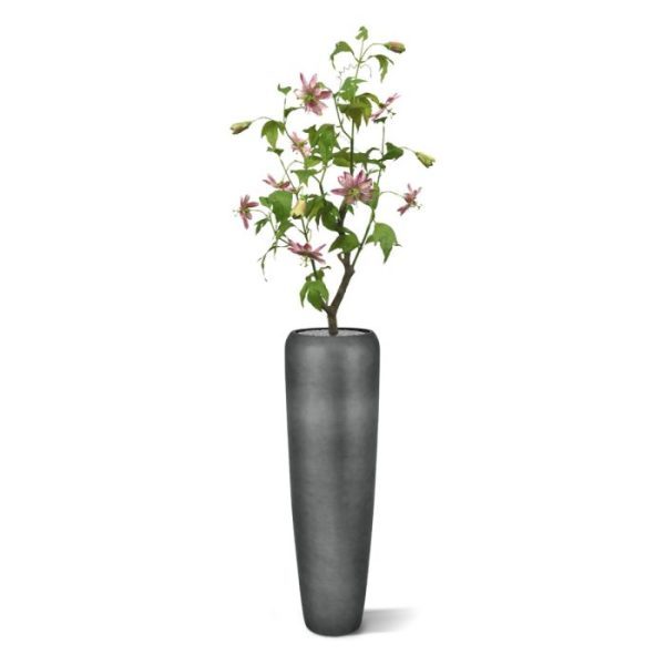 Kunst Passiebloem 90 cm rose Wat een plaatje
