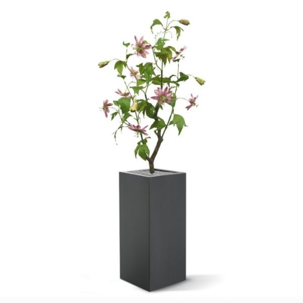 Kunst-Passiebloem-90-cm-rose-8 Kunst Passiebloem 90 cm rose 8