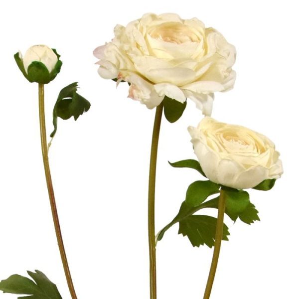 Kunst Ranonkeltak 60 cm creme Houdt u ook zo van die vrolijkheid die de sfeervol gekleurde ranonkel brengt? Wij ook! Daarom hebben wij extra ons best gedaan om deze Perzische boterbloem tot in de kleinste details en perfectie in een mooie kunst ranonkeltak in cremekleur na te maken. Waar mag deze prins uit het Midden Oosten bij u de ruimte sfeervol opleuken?