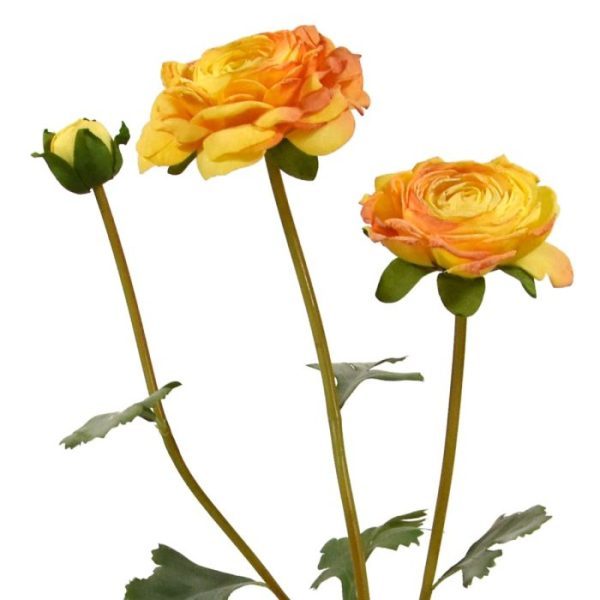 Prachtig vinden we ze…. De overdadige zee aan gelobde bloemblaadjes die als een waaier van vrolijkheid uit hun bescheiden bloemknop ontsnappen. Kunst ranonkeltakken zijn een prachtig onderhoudsarme alternatief waar u wel jaren van kunt blijven genieten. Deze Perzische boterbloem is beslist een waardevolle aanvulling voor uw bedrijf