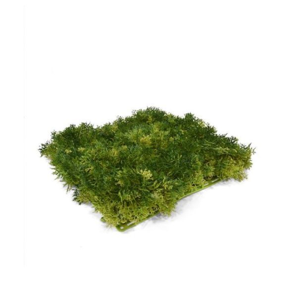 Kunst Hangplanten tot in detail verfijnd nagemaakte en aaizachte uiterlijk wel heel levendig. Perfect om eindeloze groene wanden mee te maken of opgespannen op een frame als sfeervolle afscheiding in te zetten. Deze kunstmat met mos die zijn naam ontleent aan de vorm van de op een hertengewei gelijkende plant is beslist betoverend én praktisch in gebruik. Omdat u meerdere matten aan elkaar kunt koppelen