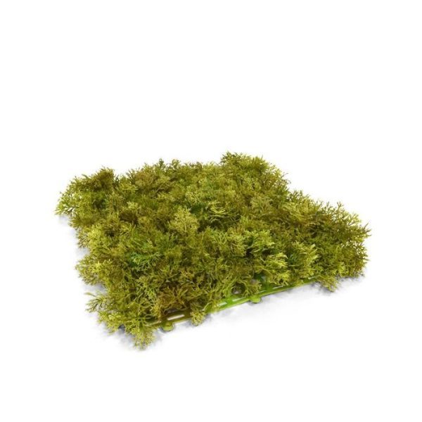 Kunst Rendier Mosmat 25x25 cm groen bruin 1