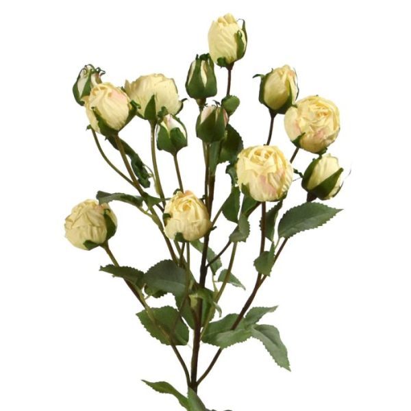 Kunst-Trosrozentak-70-cm-creme-3 Kunst Trosrozentak 70 cm creme 3