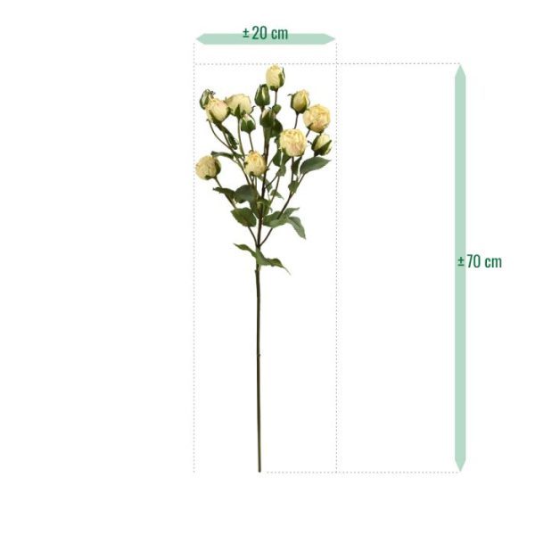 Kunst Trosrozentak 70 cm creme Een echte rozenliefhebber? Dan is deze kunst trosrozentak van 70 cm in creme kleur wellicht wat voor u. Bij trosrozen groeien er veel meer bloemen aan de steel wat voor een fantastische kleurrijke ervaring zorgt. Omdat de bloemen iets kleiner zijn dan echte rozen zorgen ze voor een betoverend en vertederend effect.