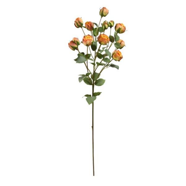 laat u ze solo schitteren of gaat u voor een combinatie met andere bloemen?