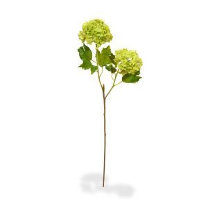 Deze schitterende groene