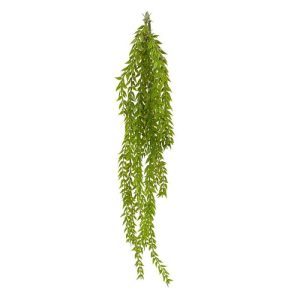 Zoekt u een bijzonder exclusieve en duurzame manier om de natuur binnen te halen dan is deze Wilgenhanger oftewel de Salix wellicht iets voor u. De perfecte combinatie van een altijd groene hangplant en een unieke sfeer in huis