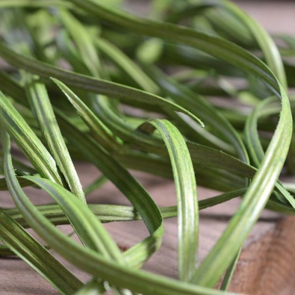 Kunst Zeegras hangplant 120 cm 5