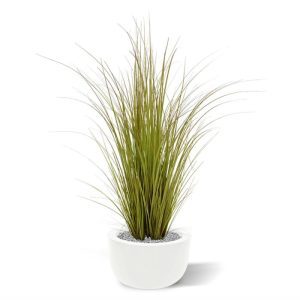 Deze speelse Grasplant is een mooie aanvulling op het assortiment kunstgras planten. Dit model heeft met zijn vele zijscheuten een goedgevulde en natuurlijke uitstraling! Met een hoogte van ongeveer 100 cm kan de groen-bruine kunstplant zowel in een hoge als in een lage sierpot gepresenteerd worden. De breedte bedraagt ongeveer 25 tot 30 cm. De kunst grasplant