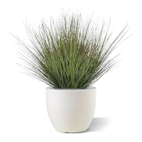 opzij... voor deze indrukwekkend wijdvallende kunst Grasplant 80 cm in pot! Met zijn weelderige uiterlijk en speelse afwisseling van rode en groene zijscheuten is deze kunstige knapperd wel heel betoverend! Ga voor een schitterend effect! Deze Grasplant Wide is zo natuurgetrouw nagemaakt dat deze nauwelijks van echt te onderscheiden is. Met een hoogte van ongeveer 80 cm en breedte van circa 65 cm kan de kunstplant zowel in een hoge als in een lage sierpot of in een grote bak gepresenteerd worden. Deze kunstgras plant is geschikt voor binnengebruik en heeft een mooie plastic pot met zwarte