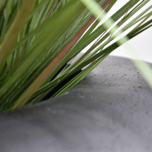 vaste vulling. De hieronder afgebeelde sierpotten of plantenbakken zijn direct mee te bestellen. Bij meerdere stuks geldt een voordeelprijs.