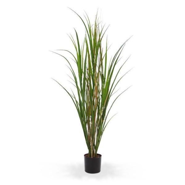 Kunstplanten vaste vulling. Dit kunst rietgras is ook verkrijgbaar in een hoogte van 100 en 165 cm en in een UV bestendige uitvoering voor buiten.
