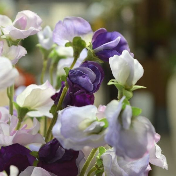 Kunstboeketten de breedte bedraagt ongeveer 20 cm. Het Lathyrus boeket wordt geleverd zonder pot of vaas. Vanaf 6 stuks profiteert u van een korting op de prijs.