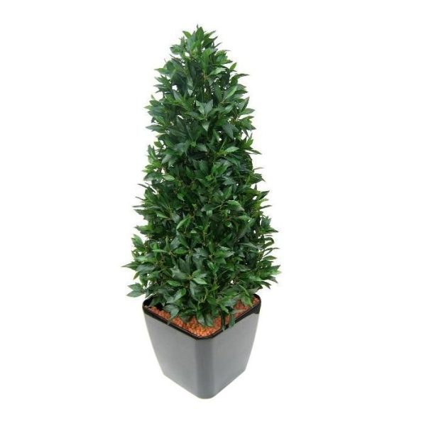 Laurier-Pyramide-Deluxe-150-cm-kunstplant-3 Laurier Pyramide Deluxe 150 cm kunstplant 3