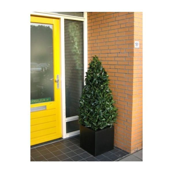Laurier-Pyramide-Deluxe-150-cm-kunstplant-8 Laurier Pyramide Deluxe 150 cm kunstplant 8