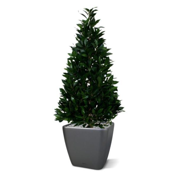 Groene kunstbomen Laurier Tower 115 cm kunstplant 2