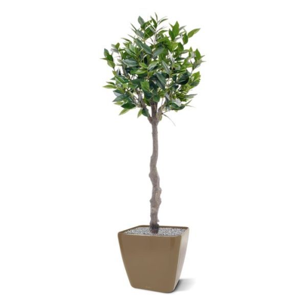 Groene kunstbomen die vrij glad aanvoelen. De hoogte van de boom is ongeveer 120 cm en de diameter van de bol is rond 40 cm. Standaard wordt deze boom in een plastic pot van 15 cm hoog bij 18 cm breed geleverd.