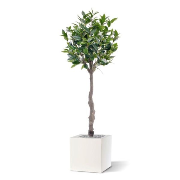 Laurier-kunstboom-op-stam-120-cm-8 Laurier kunstboom op stam 120 cm 8