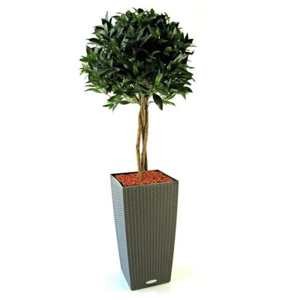 Laurierbol-Deluxe-op-stam-120-cm-kunstplant-3 Laurierbol Deluxe op stam 120 cm kunstplant 3