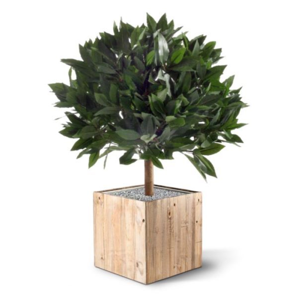 Laurierbol kunstplant 45 cm 1