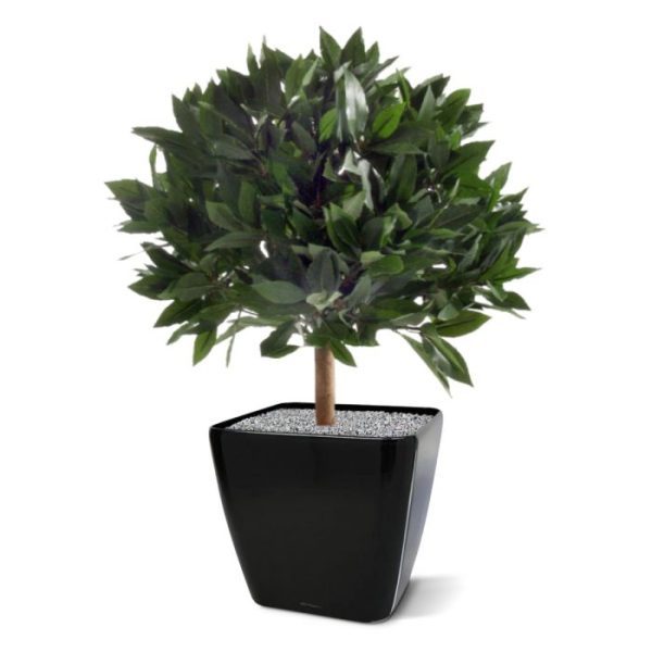 Laurierbol kunstplant 45 cm 2
