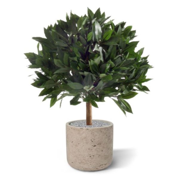 Schitterende kunstzijden Laurierbol!   Zowel de blaadjes als de besjes zijn niet van echt te onderscheiden! Deze bol is zeer decoratief en wordt vaak gebruikt om de entree te versieren.  De diameter van de bol is 35 cm en de hoogte totaal 45 cm. Standaard wordt deze plant in een plastic pot geleverd.