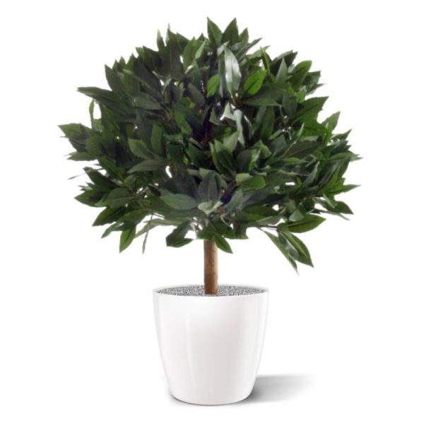 Laurierbol kunstplant 45 cm 9