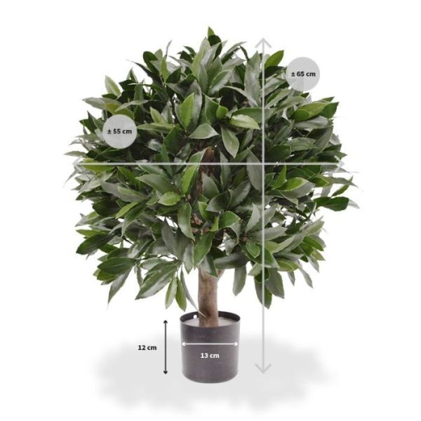 zijn deze 8 jaar lang beschermt tegen verkleuren.