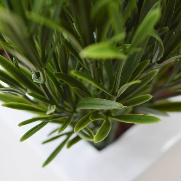 Lavendel-Kunstplant-50-cm-UV-wit-in-pot-4 zodat het gemakkelijk in uw eigen sierpot geplaatst kan worden!