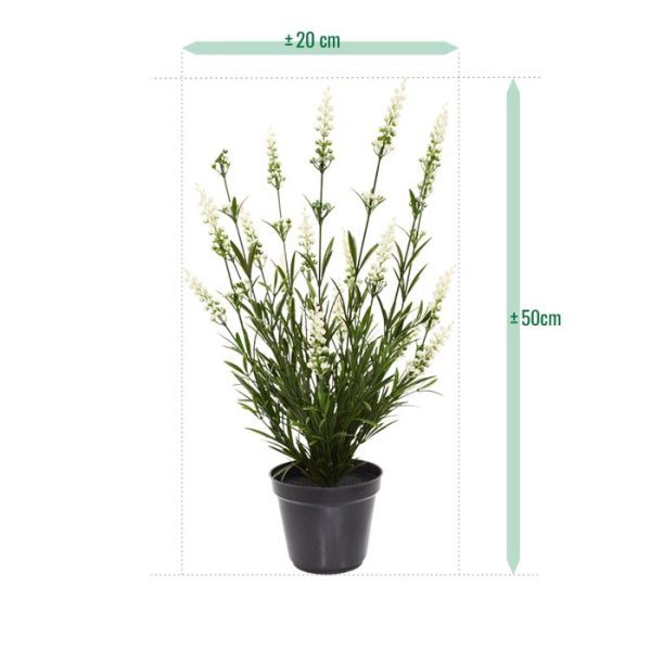 Lavendel-Kunstplant-50-cm-UV-wit-in-pot-5 Lavendel Kunstplant 50 cm UV wit in pot 5