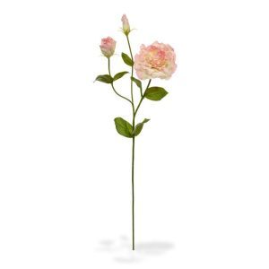 Deze schitterende Lisianthus kunst steelbloem is net echt! De kunstbloem is opgebouwd uit een steel met daarop een kunstzijden Lisianthus bloem en 2 zijtakken met knoppen. De grote bloem meet ongeveer 10 cm breed en is zeer verfijnd nagemaakt.   De kunst Lisianthus wordt standaard als losse steel geleverd en kan daardoor makkelijk verwerkt worden tot prachtige kunstboeketten. De steel heeft een lengte van ongeveer 80 cm en is verkrijgbaar in het creme