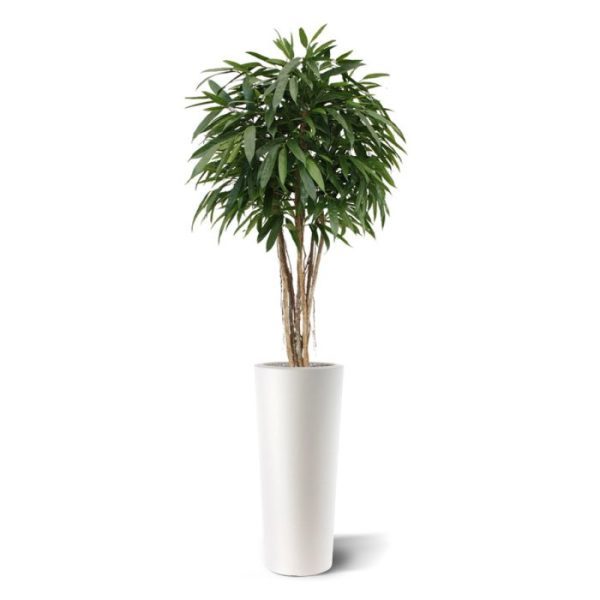 Longifolia Ball Deluxe 180 cm kunstboom 10