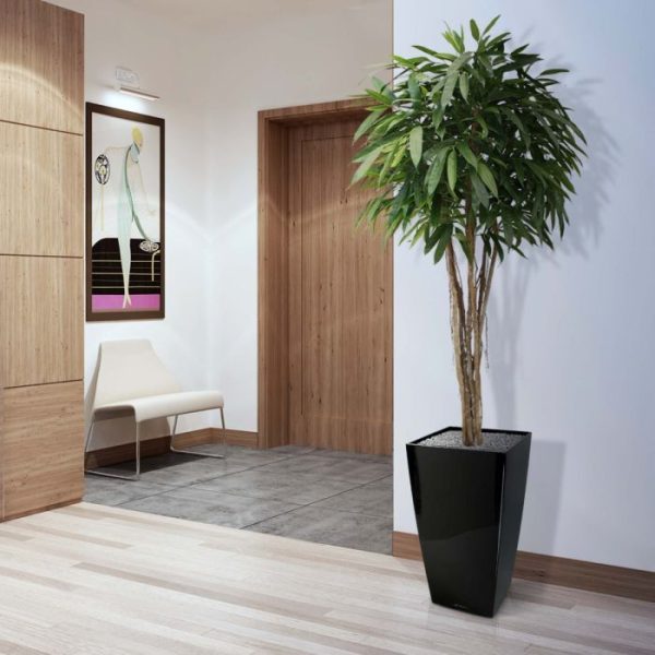 Longifolia Ball Deluxe 180 cm kunstboom 6