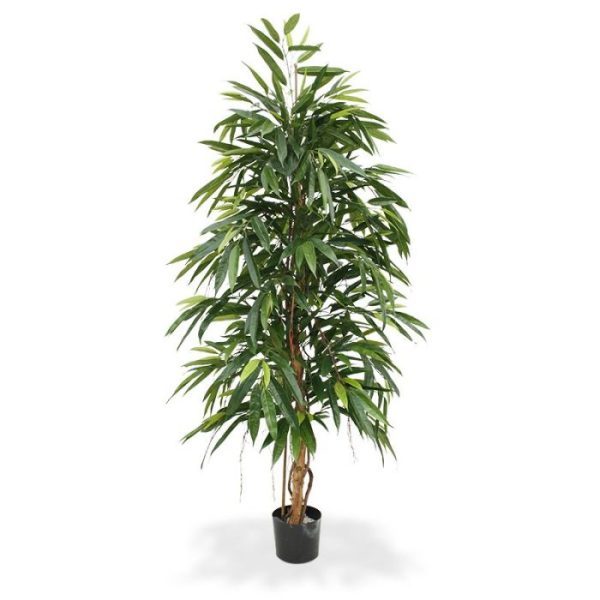 Longifolia-Royal-175-cm-kunstboom-8 Longifolia Royal 175 cm kunstboom 8