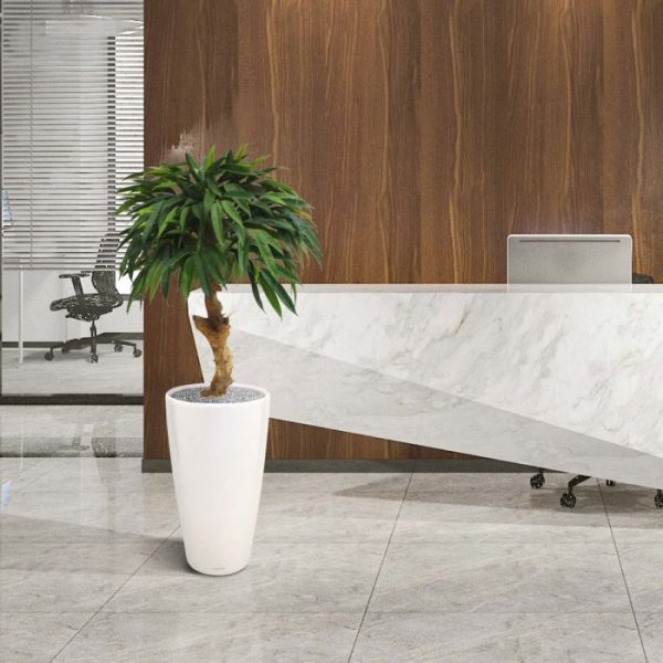Longifolia-Royal-90-cm-kunstboom-op-stam-5 Longifolia Royal 90 cm kunstboom op stam 5
