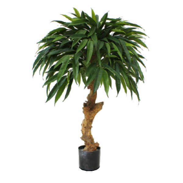 Longifolia-Royal-90-cm-kunstboom-op-stam-7 Longifolia Royal 90 cm kunstboom op stam 7
