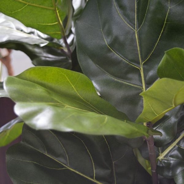 Lyrata Deluxe kunstboom 170 cm 4