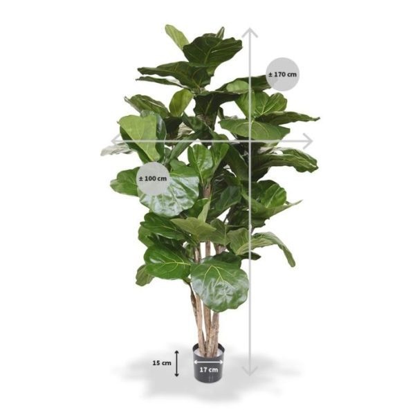 Lyrata Deluxe kunstboom 170 cm 7