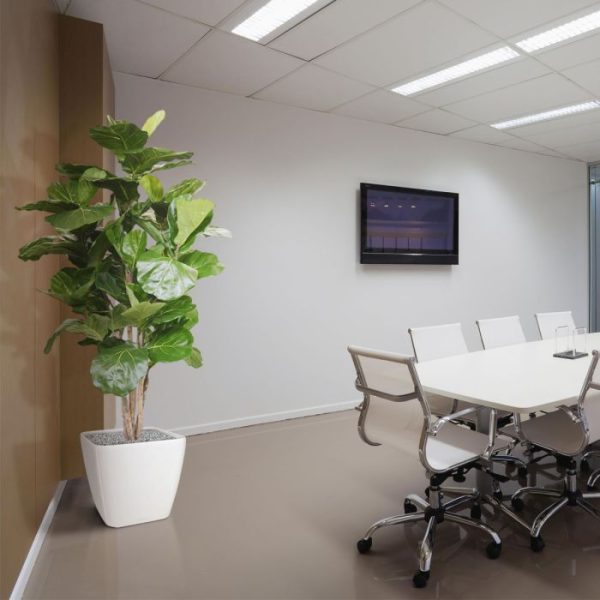 Lyrata Deluxe kunstboom 170 cm 8