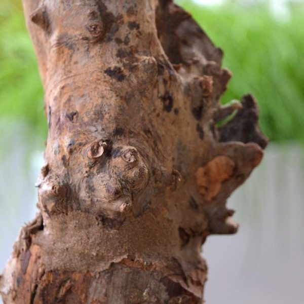 Lyrata Deluxe kunstplant 125 cm op stam 3