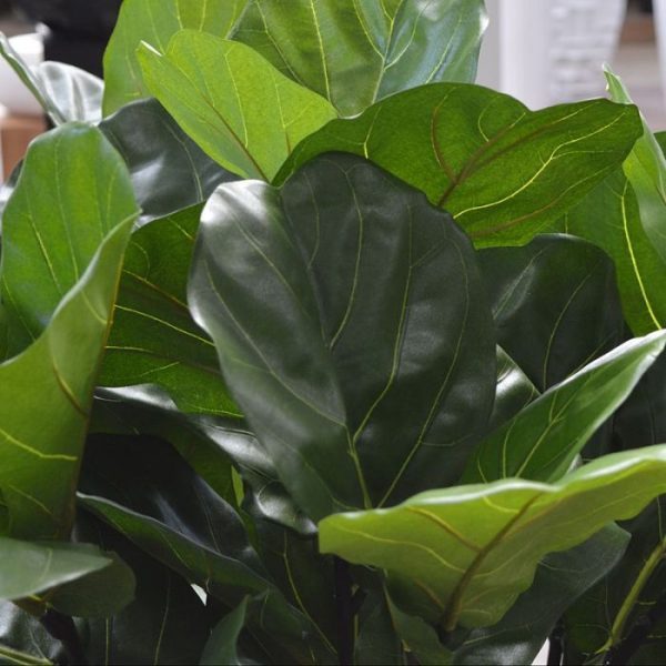 Lyrata Deluxe kunstplant 125 cm op stam 4