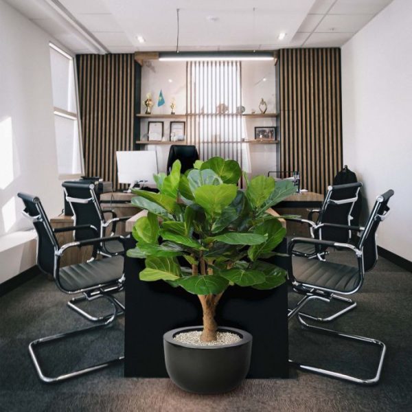 Lyrata Deluxe kunstplant 125 cm op stam 7