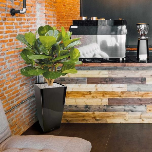 Lyrata Deluxe kunstplant 125 cm op stam 8